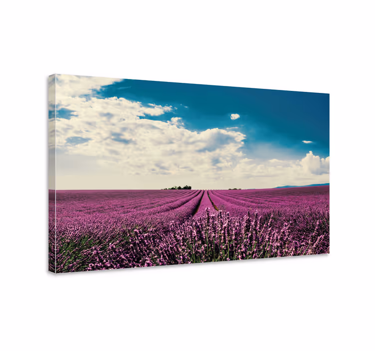Tablou flori şi plante peisaj cu lavandă - TenStickers