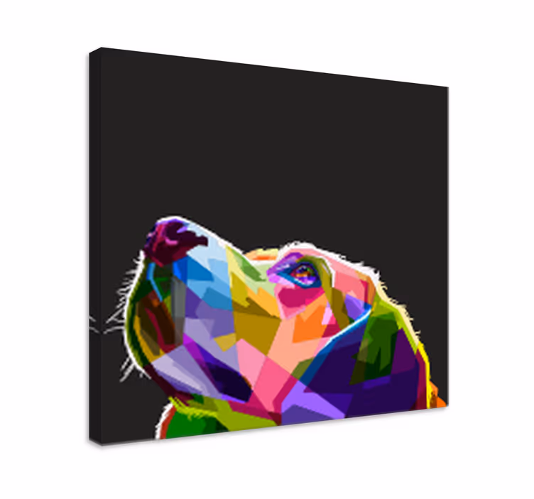 Imprimeuri de pânză curcubeu pentru câini - TenStickers