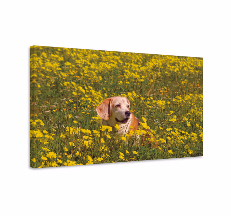 Câine așezat în flori pânză de flori - TenStickers