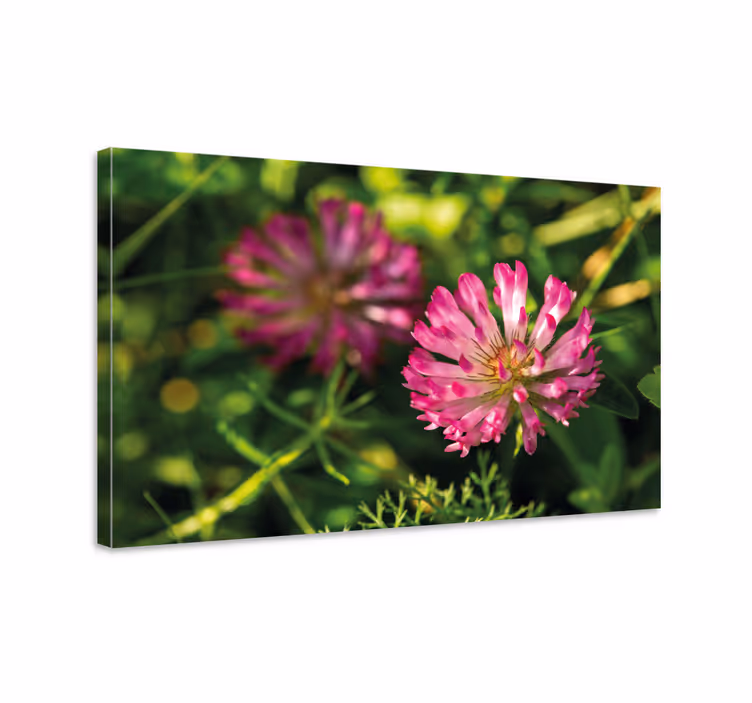 Tablou flori şi plante buchet de flori roz - TenStickers