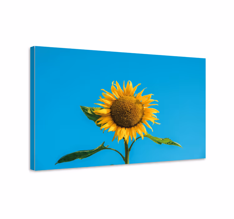 Floare de soare pe panza de flori albastre - TenStickers