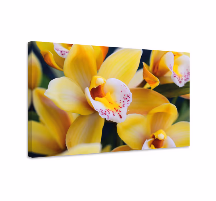 Tablou flori şi plante flori de orhidee vibrante - TenStickers
