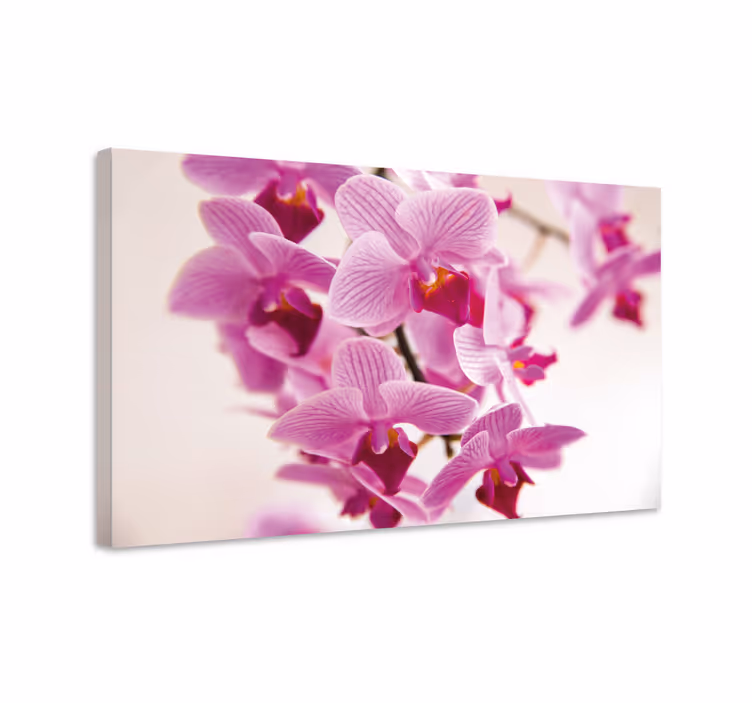 Tablou flori şi plante cu flori delicate de orhidee - TenStickers