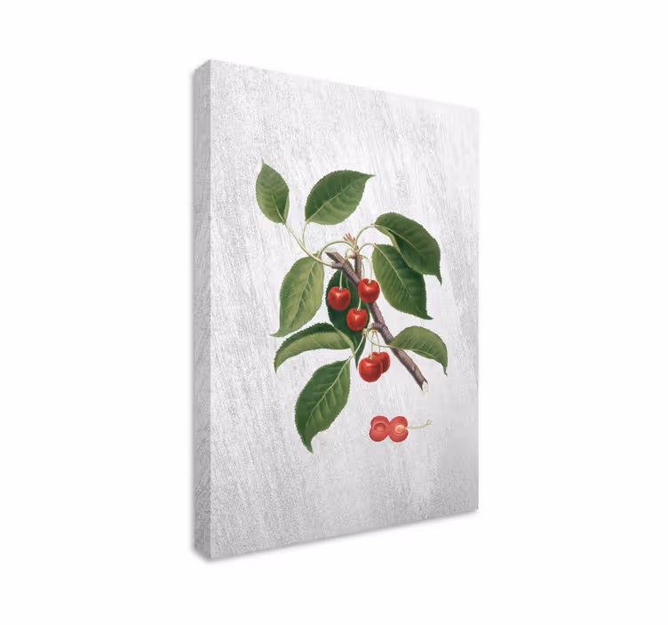 Panza de arta de cires eleganta din cires acru - TenStickers