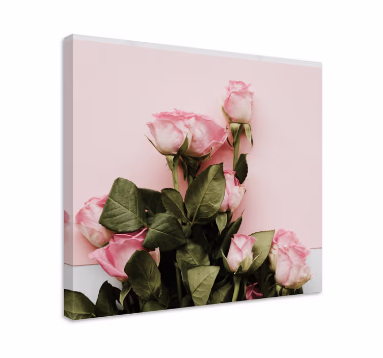Trandafiri roz panza design elegant flori - TenStickers