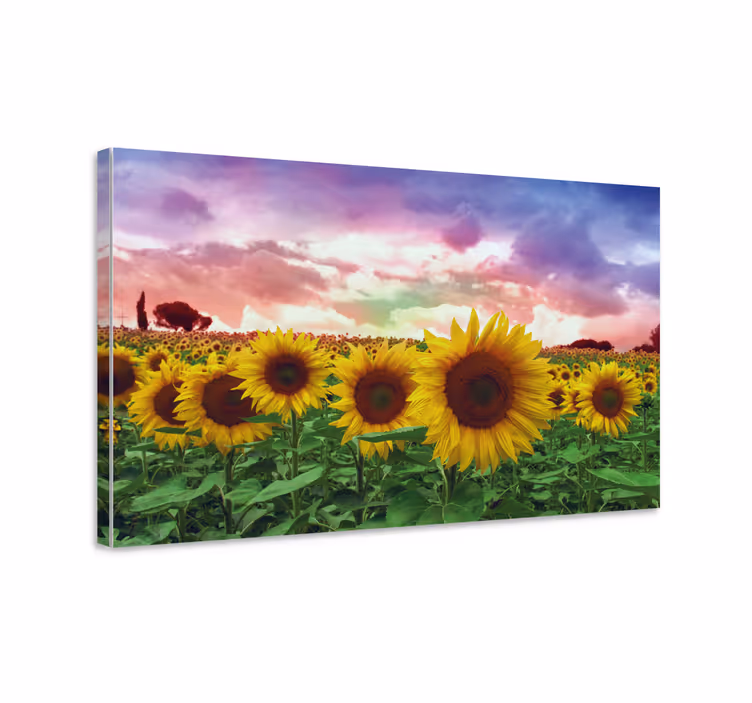 Tablou flori şi plante câmp vibrant de floarea soarelui - TenStickers