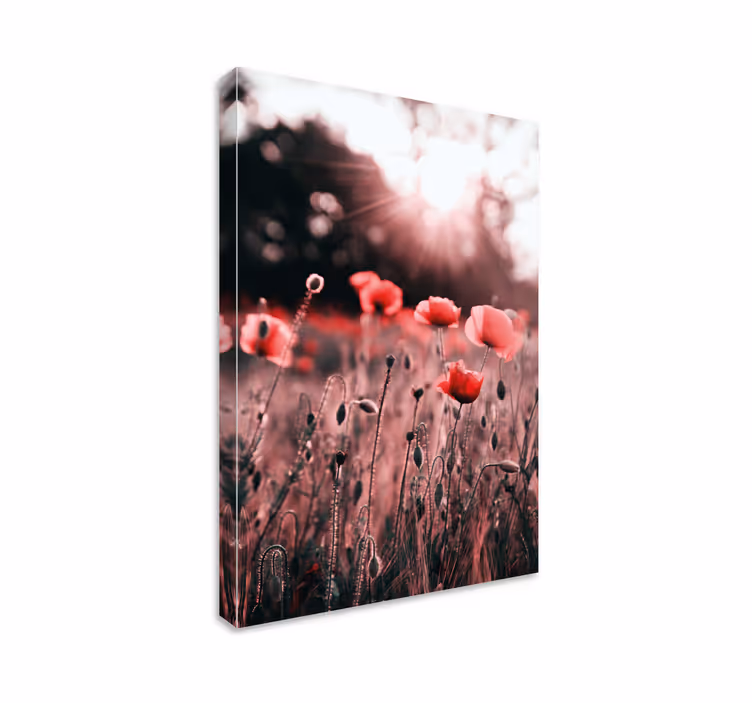 Tablou flori şi plante strălucirea pajiştii cu maci - TenStickers