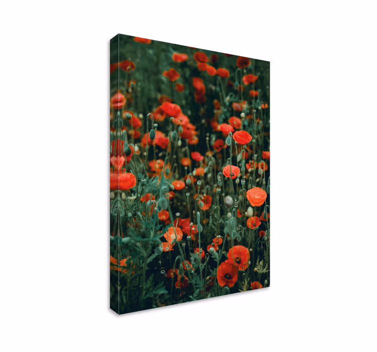 Tablou flori şi plante câmp cu flori sălbatice roșii - TenStickers