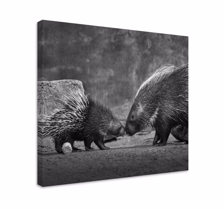 Tablou animale interacțiune cu arici - TenStickers