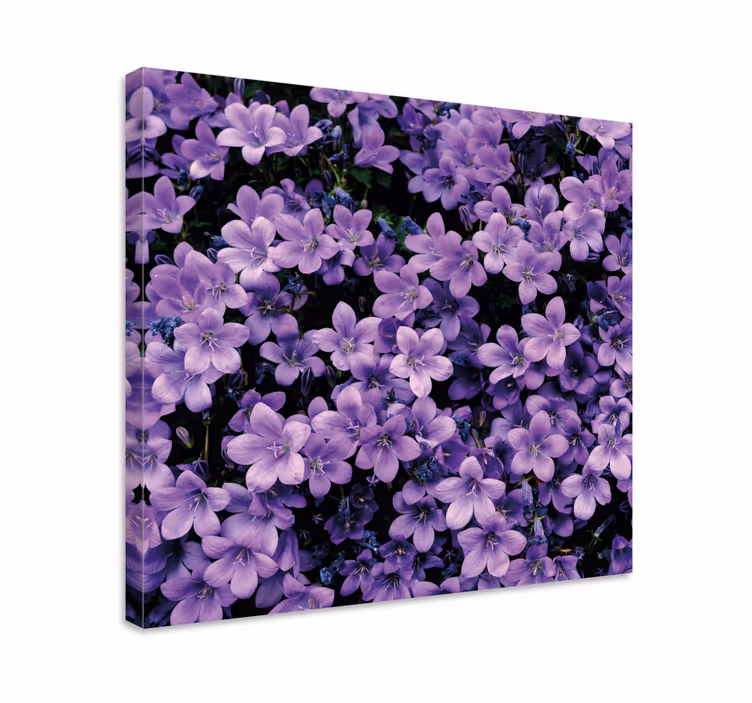Flori violete vagi flori pânză - TenStickers