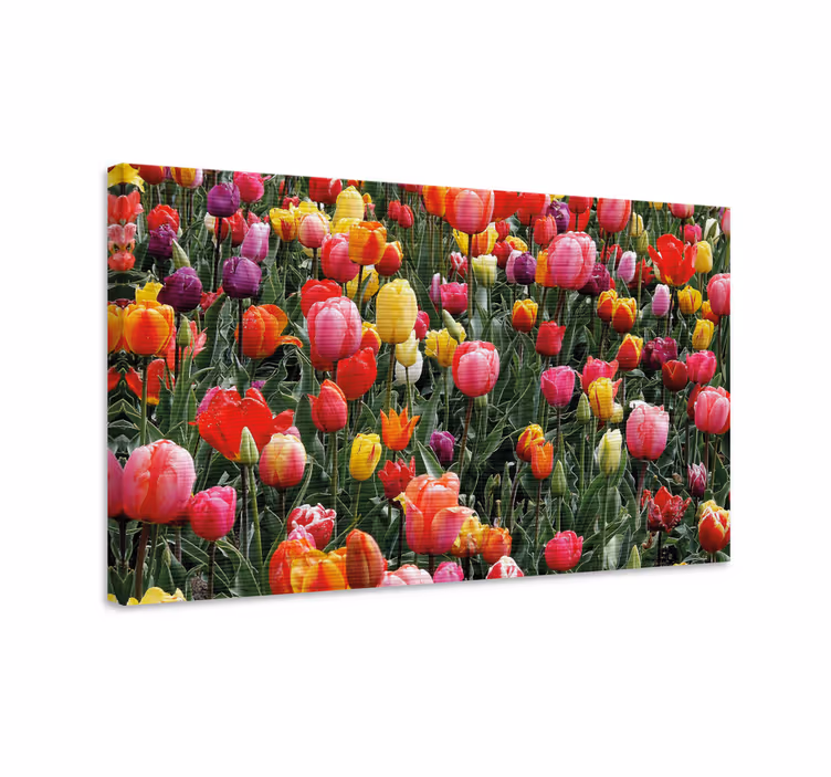 Tablou flori şi plante buchete colorate de lalele - TenStickers