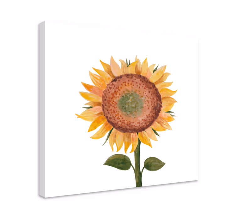 Tablou flori şi plante ilustrație floare-soarelui - TenStickers