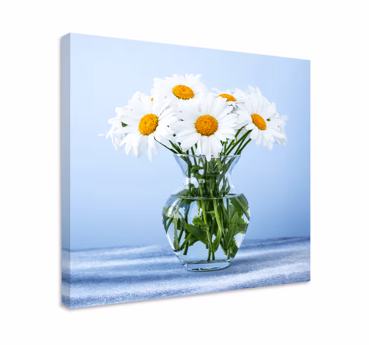 Tablou flori şi plante margarete în sticlă - TenStickers