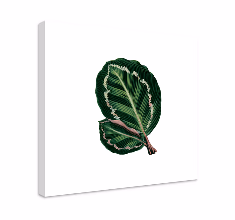 Tablou flori şi plante design cu frunze mari - TenStickers