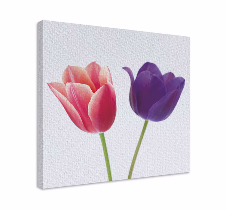Tablou flori şi plante aranjament cu lalele - TenStickers