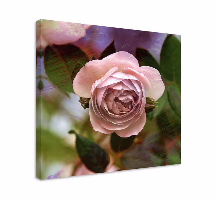 Tablou flori şi plante bujori roz - TenStickers
