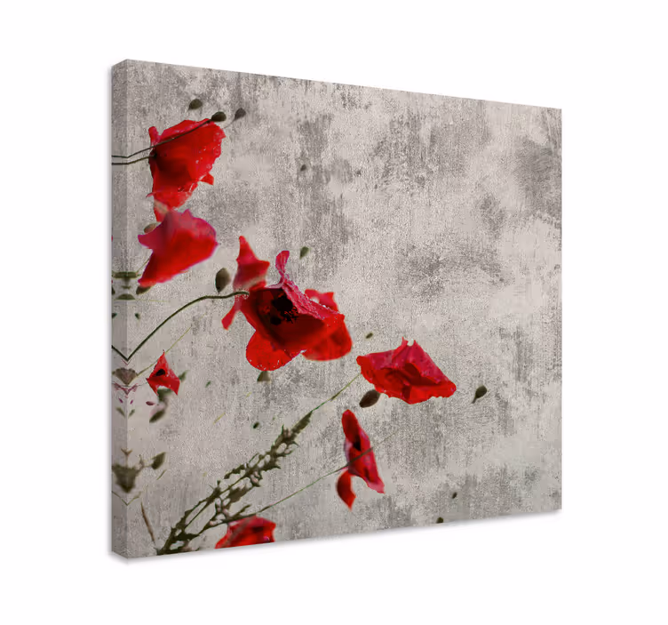 Tablou flori şi plante flori de mac roșu - TenStickers