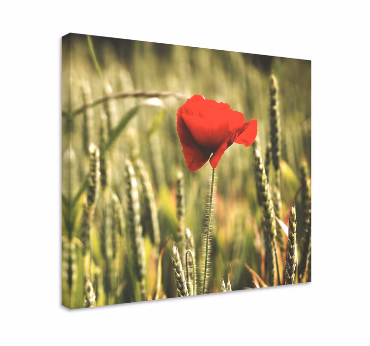 Tablou flori şi plante floare roşie înflorită - TenStickers
