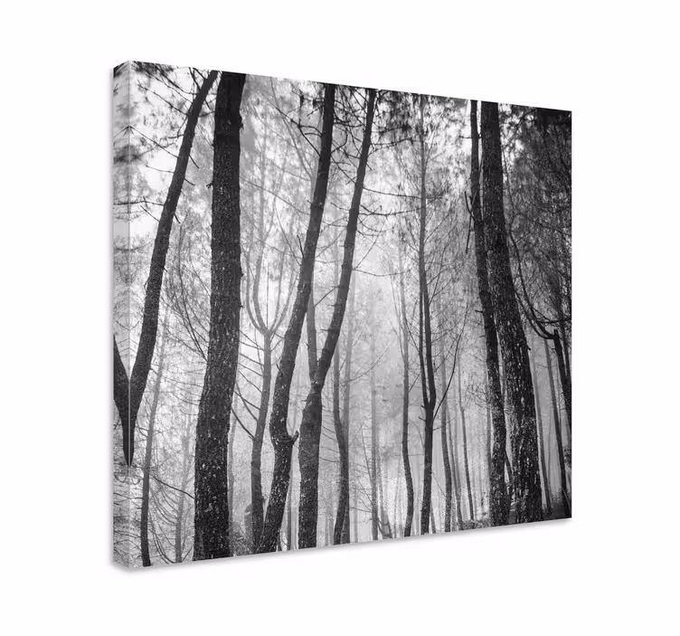 Pădure de ceață de deasupra canvasde peisaj - TenStickers