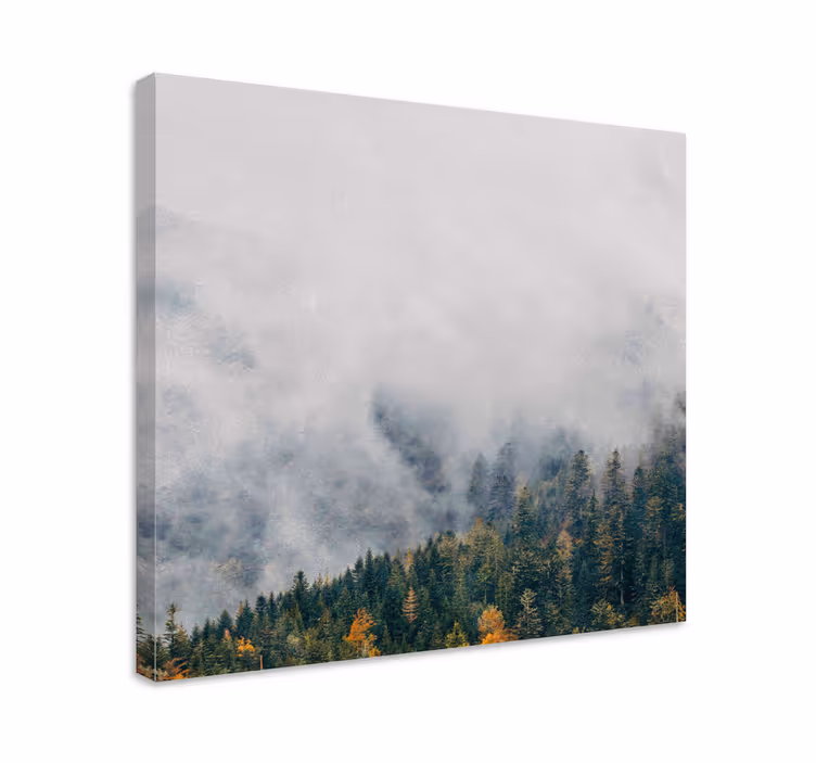 Tablou copaci peisaj de pădure cețos - TenStickers