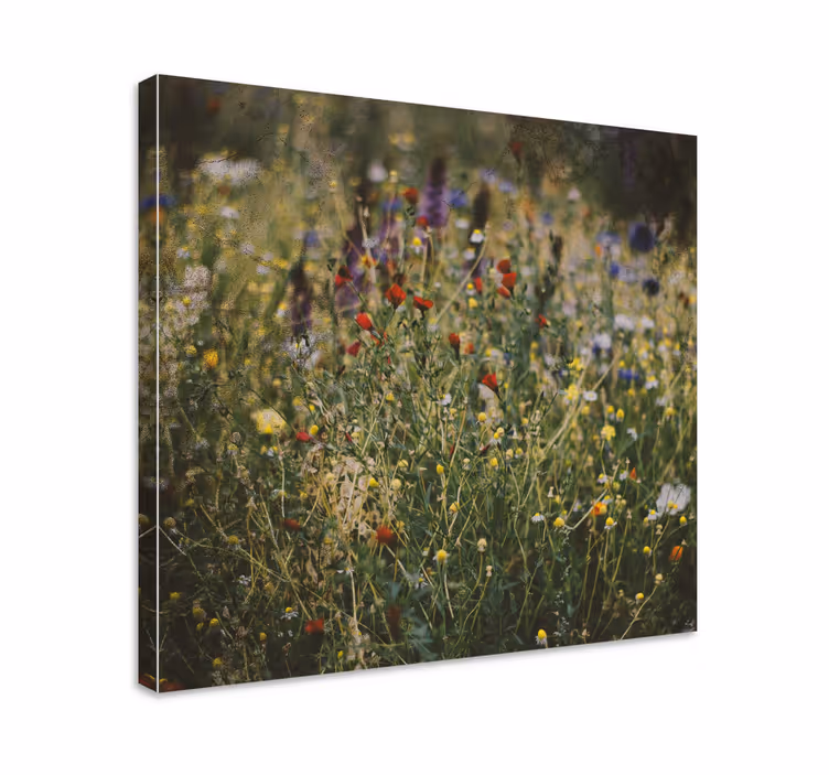 Tablou flori şi plante pajişte cu flori sălbatice - TenStickers