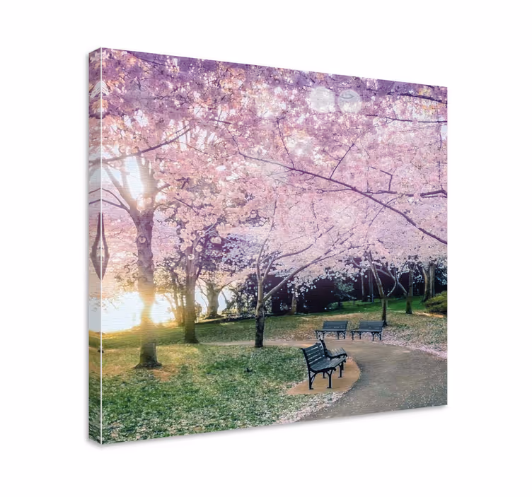 Tablou flori şi plante calea florilor de cireș - TenStickers