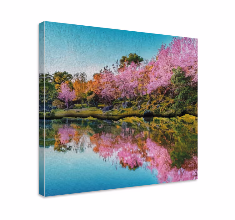 Tablou peisaje reflecție de flori de cireș - TenStickers