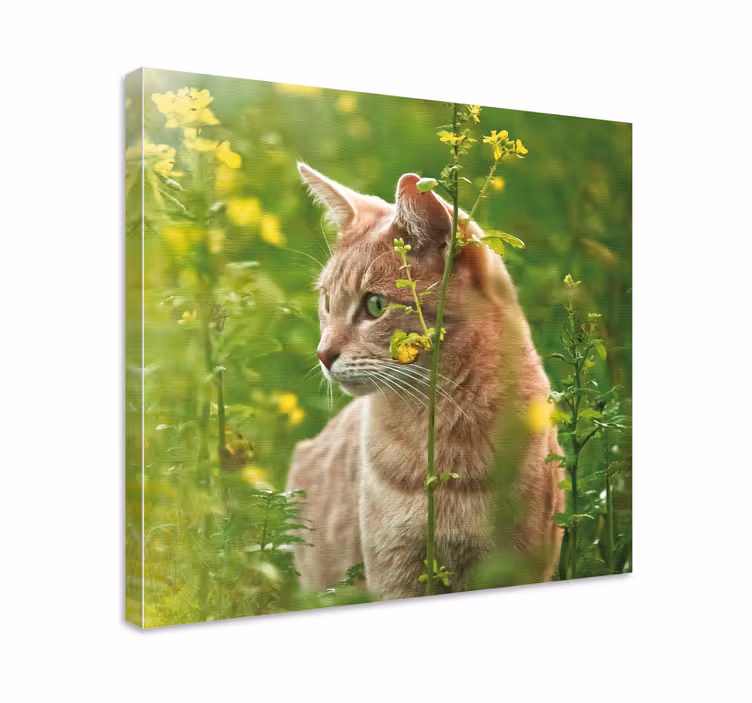Pisică drăguță într-o pânză florală spațială florală - TenStickers
