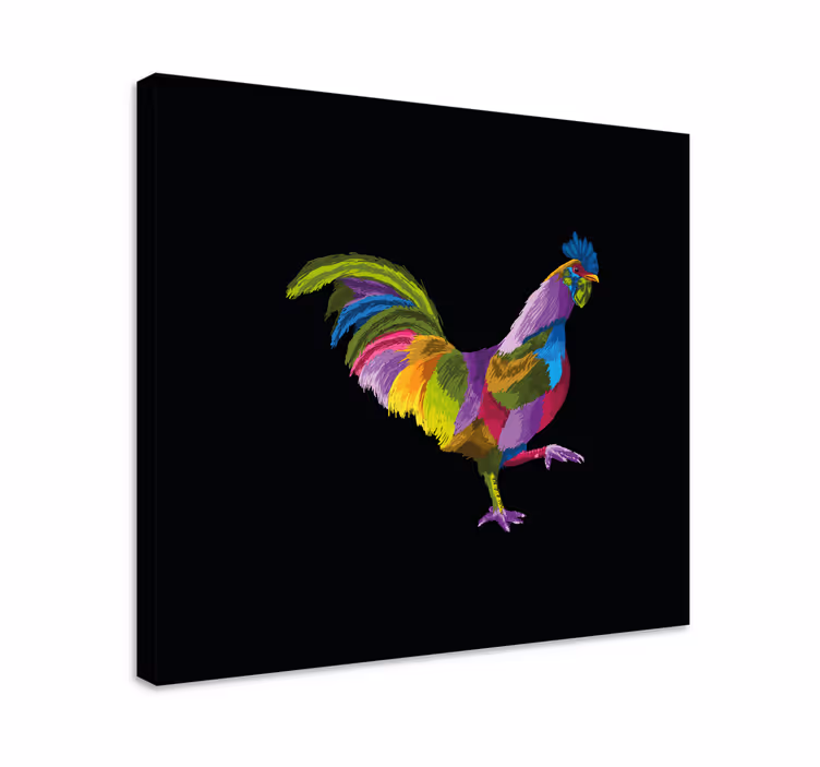 Tablou păsări design de cocoș colorat - TenStickers