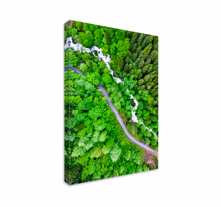 Tablou peisaje râul învârtit din pădure - TenStickers