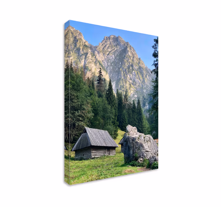 Tablou peisaje peisaj montan de pădure - TenStickers