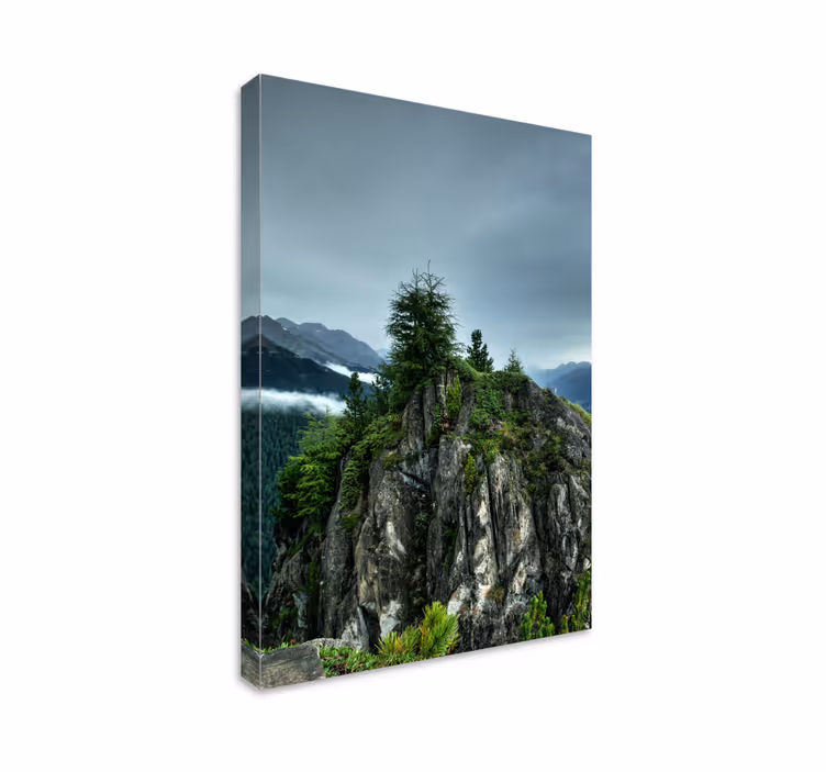 Singură stâncă în pânză de peisaj de pădure verde - TenStickers