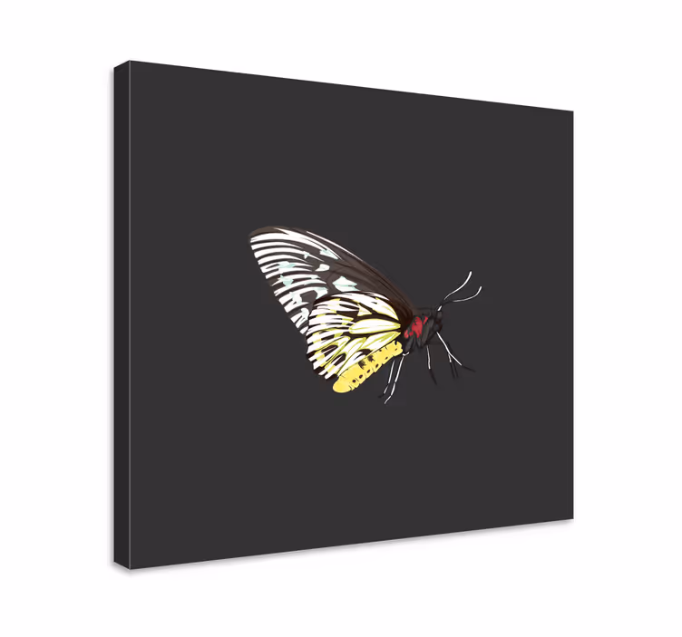 Tablou fluturi profil elegant de fluturi - TenStickers