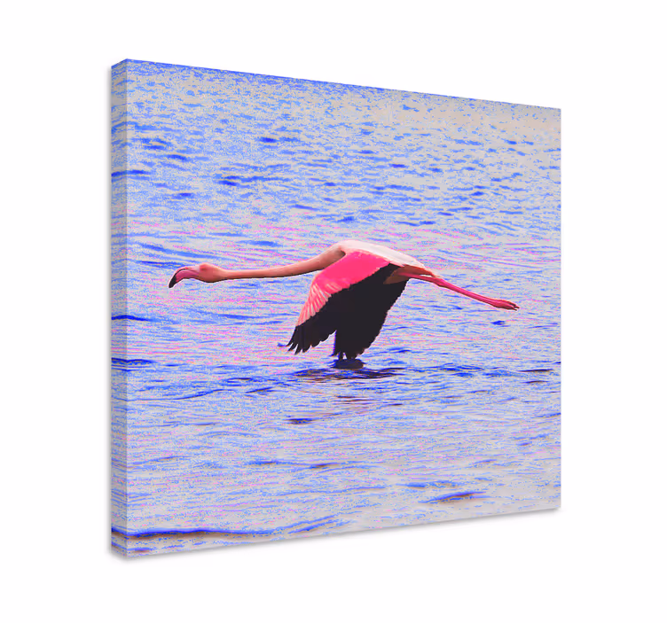 Tablou pești flamingo în zbor - TenStickers