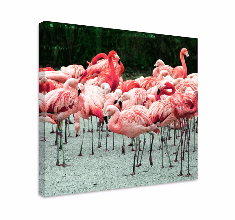 Tablou păsări stol de flamingo - TenStickers