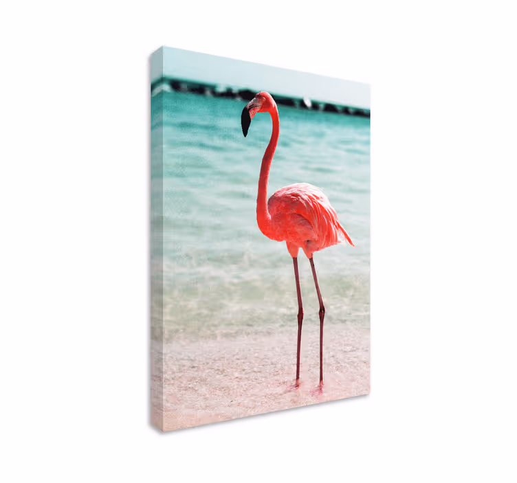 Tablou păsări poziția elegantă a flamingo-ului - TenStickers