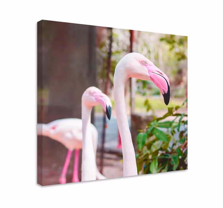 Tablou păsări flamingo elegant împreună - TenStickers
