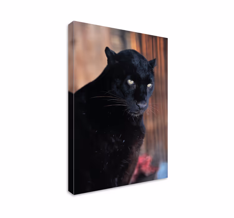 Leopard stalking imprimeuri de pânză 3d - TenStickers