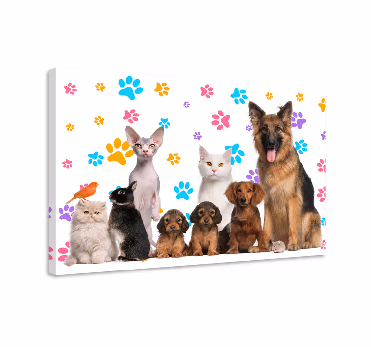 Câini și pisici animale imprimeuri pe pânză - TenStickers