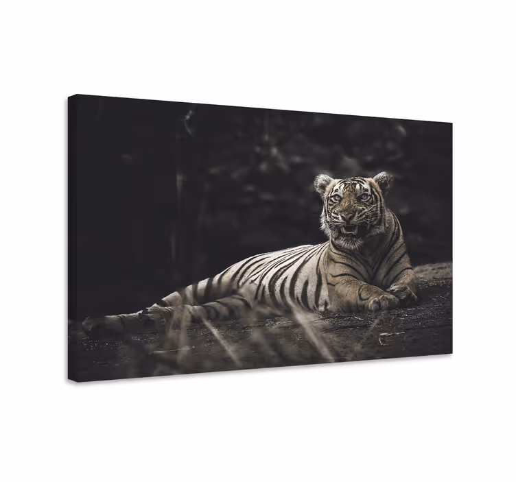 Tablou animale tigru majestuos odihnindu-se - TenStickers