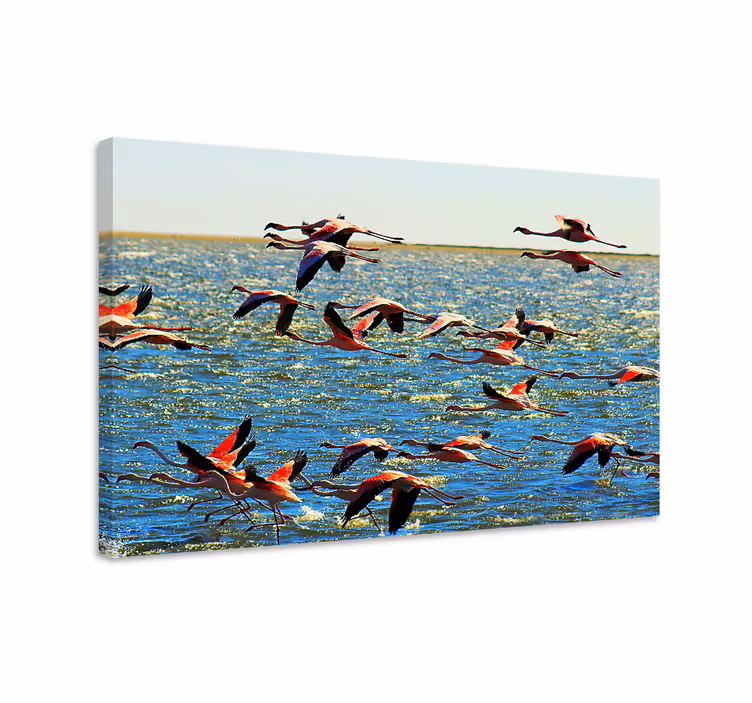 Tablou păsări flamingo în zbor - TenStickers