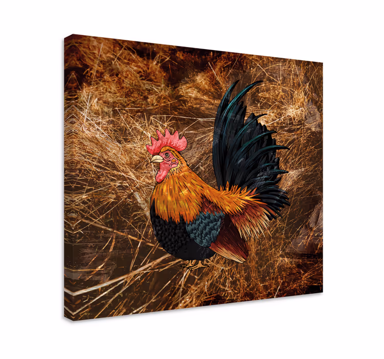 Tablou păsări cocoș colorat - TenStickers