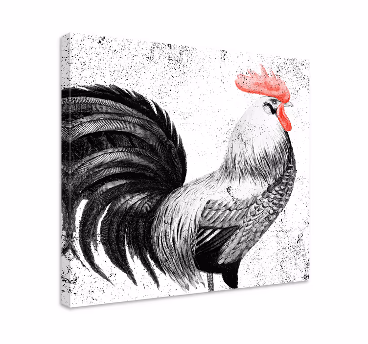 Pânză de pasăre cocoș negru și roșu - TenStickers