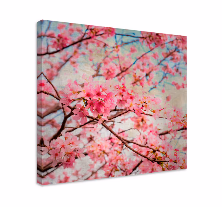 Tablou flori şi plante flori de cireș înflorite - TenStickers