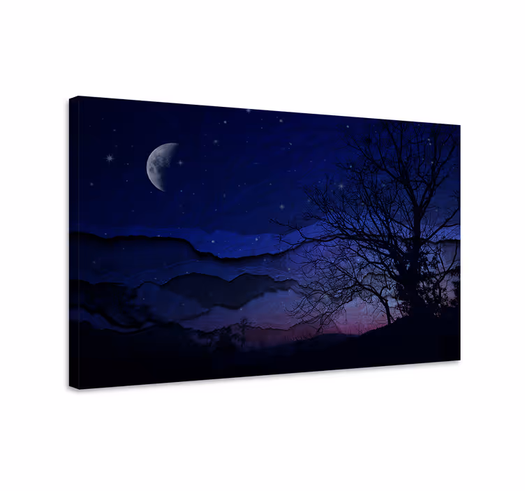 Tablou peisaje serenitatea cerului nocturn - TenStickers