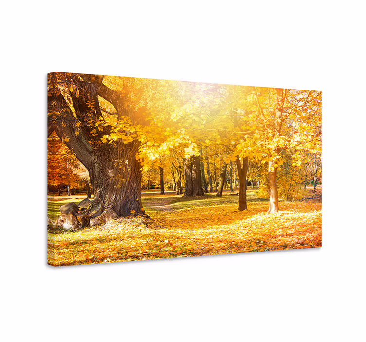Tablou copaci peisaj de toamnă în pădure - TenStickers