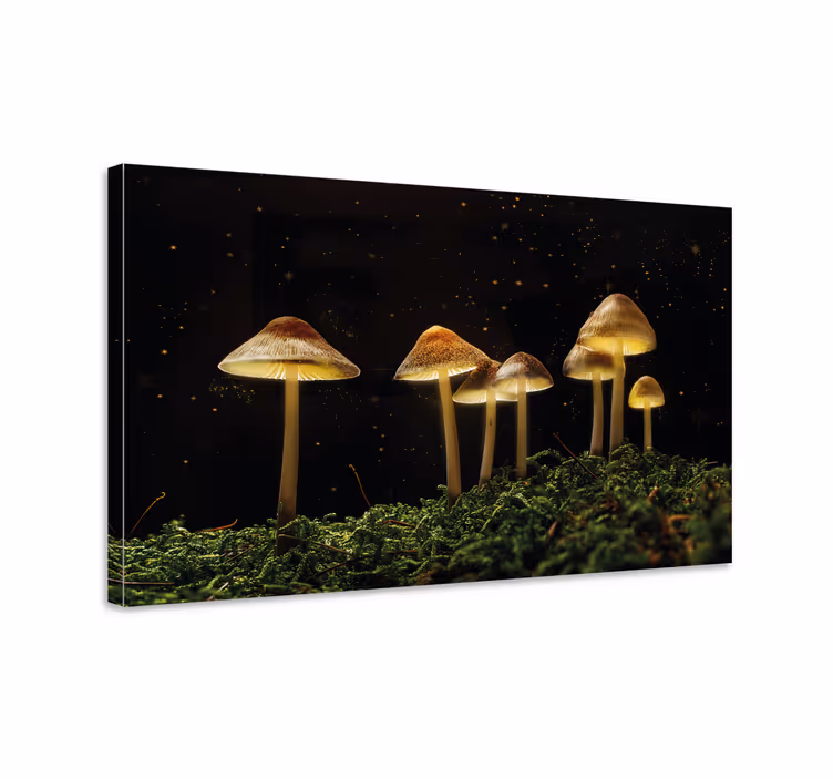 Tablou flori şi plante cu ciuperci luminoase - TenStickers