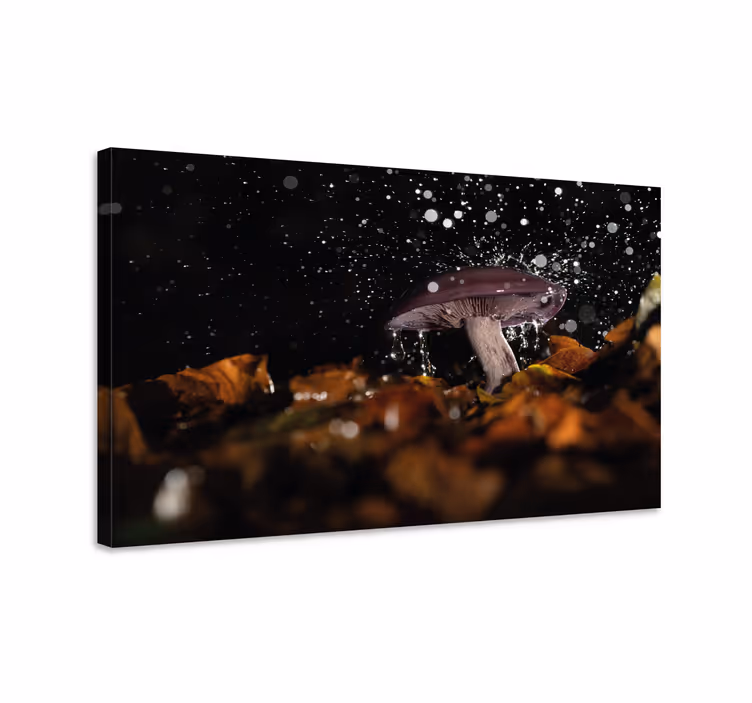 Tablou flori şi plante strop de ciuperci - TenStickers