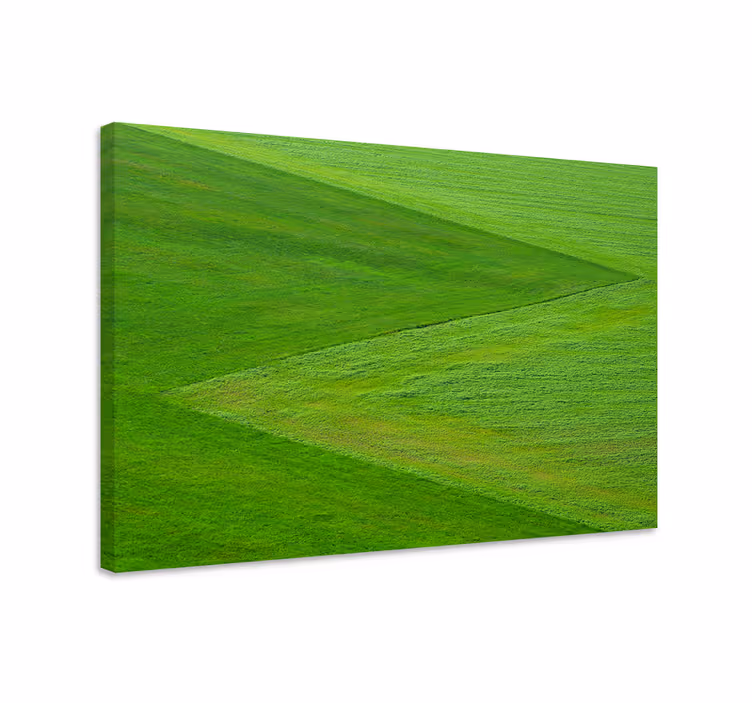 Tablou peisaje teren verde luxuriant - TenStickers
