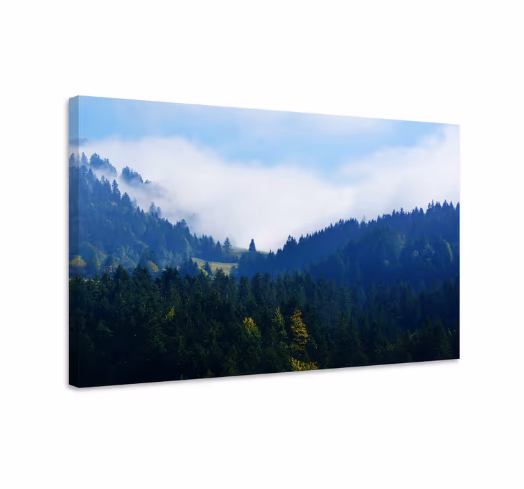 Tablou peisaje vârfuri majestuoase de pădure - TenStickers